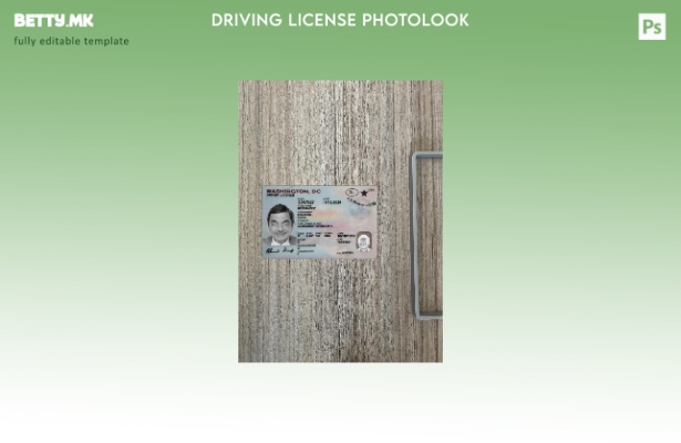 Модерен стил САД Вашингтон ДЦ возачка дозвола фото изглед пред шаблон